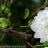 truy_phong